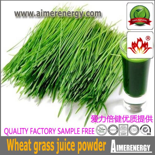 wheat grass juice powder